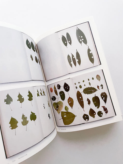 Book of Plants (Second Edition) / Anne Geene