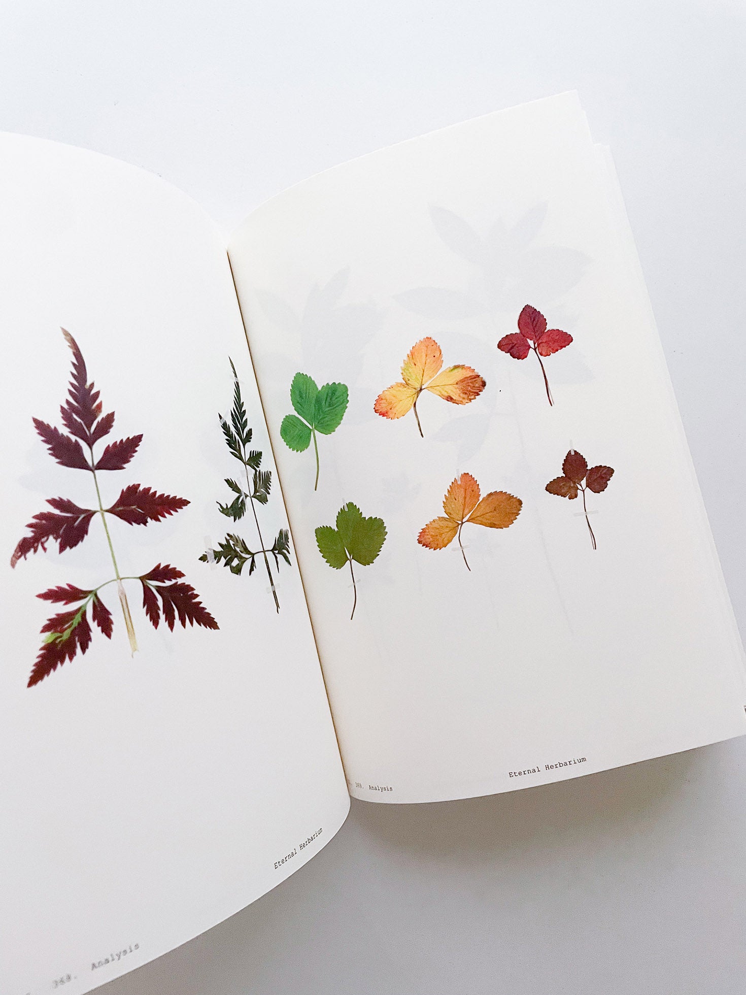 Book of Plants (Second Edition) / Anne Geene