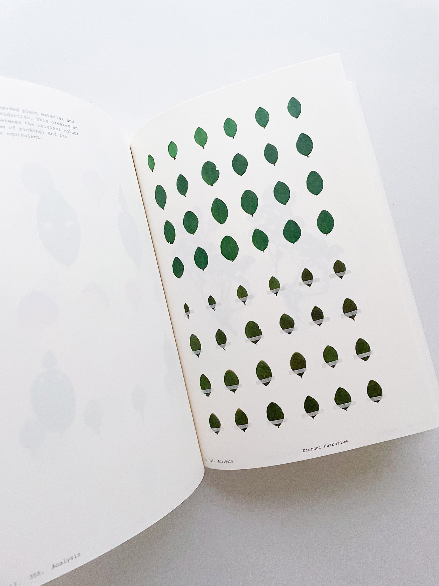 Book of Plants (Second Edition) / Anne Geene
