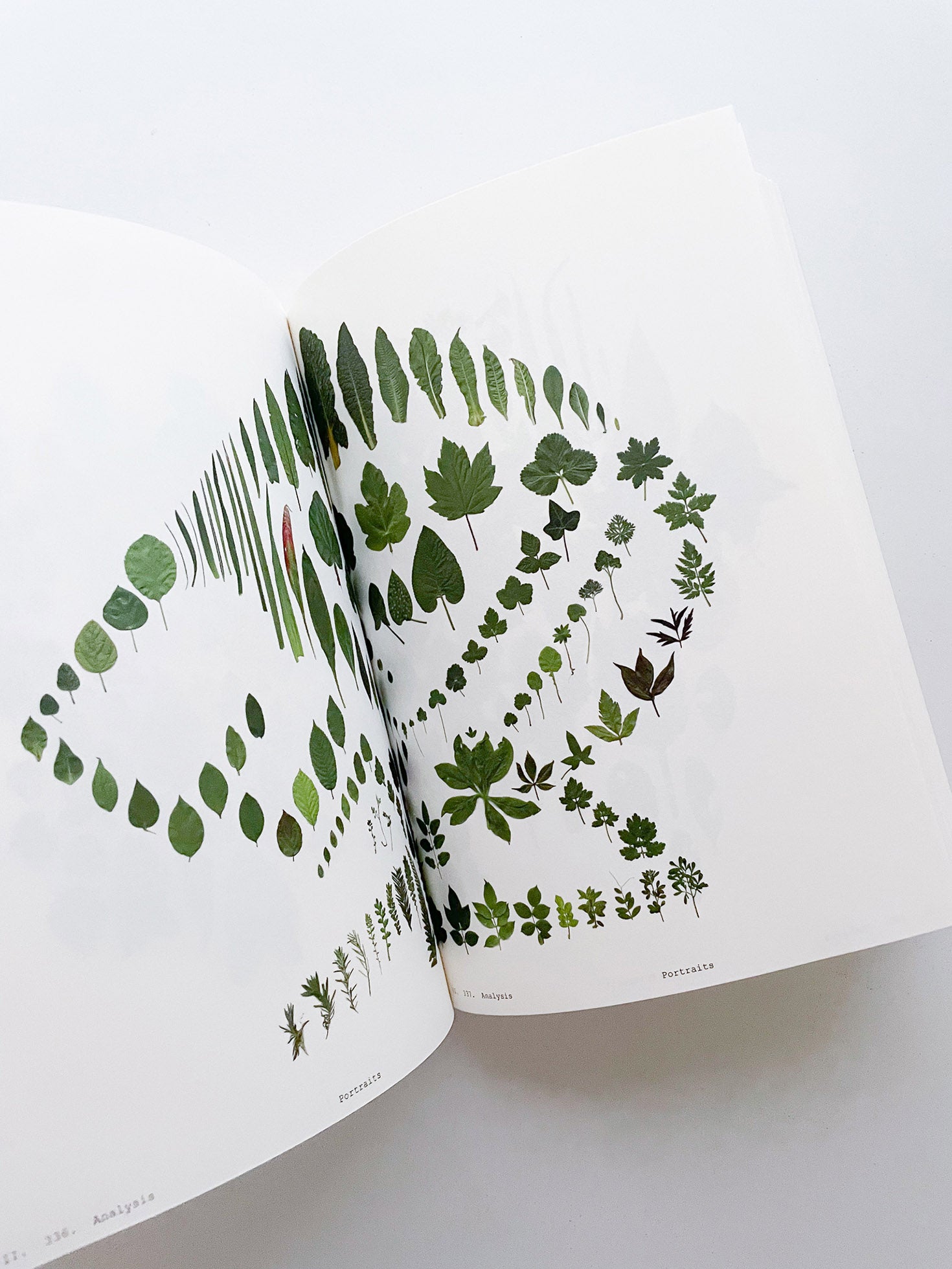Book of Plants (Second Edition) / Anne Geene