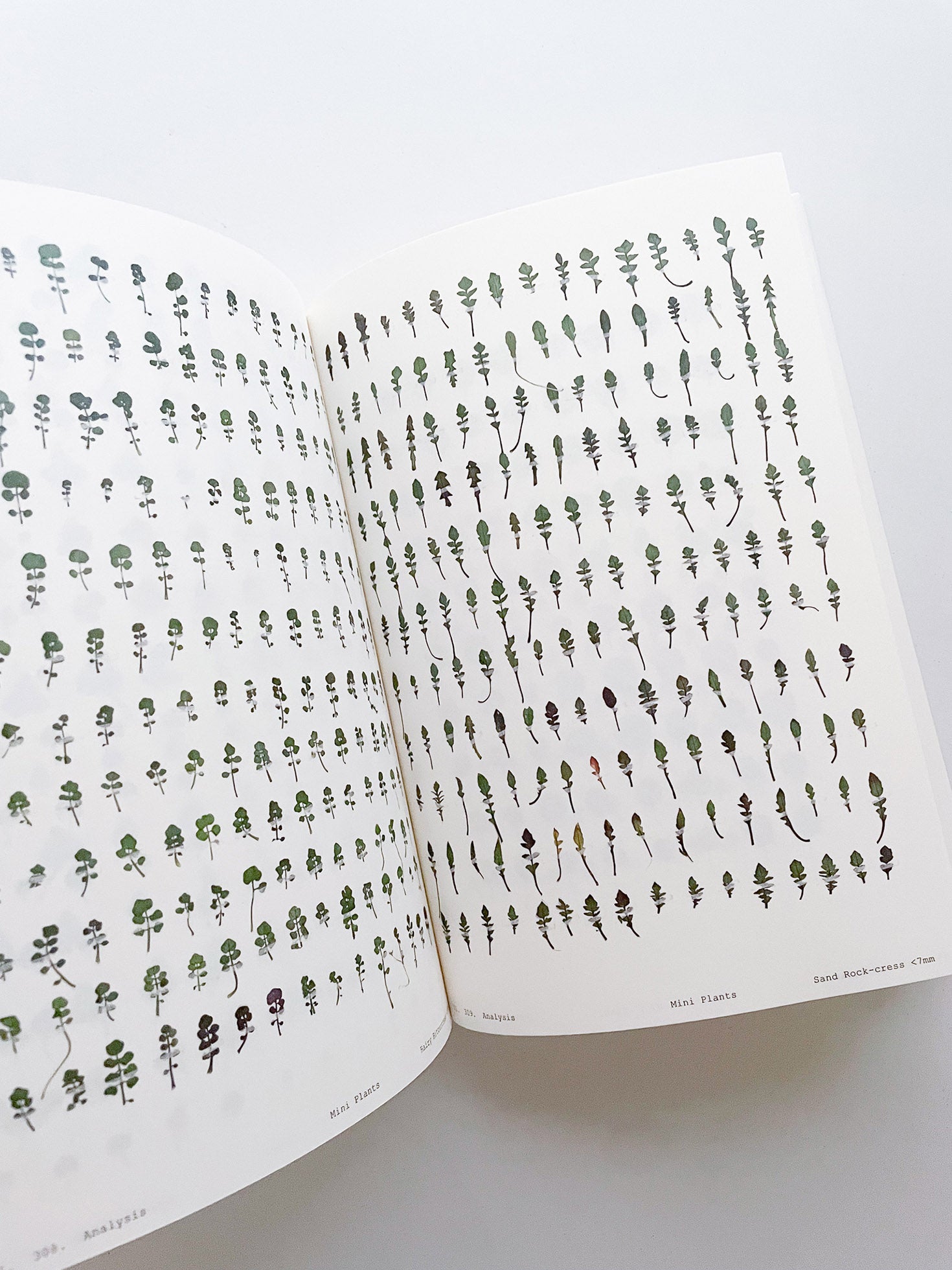 Book of Plants (Second Edition) / Anne Geene