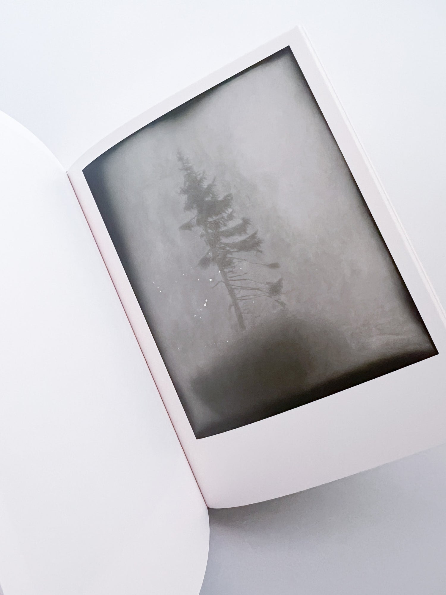 The Outer Inner World / Nicolai Howalt