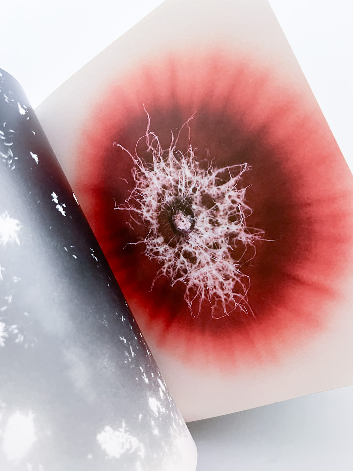 The Outer Inner World / Nicolai Howalt
