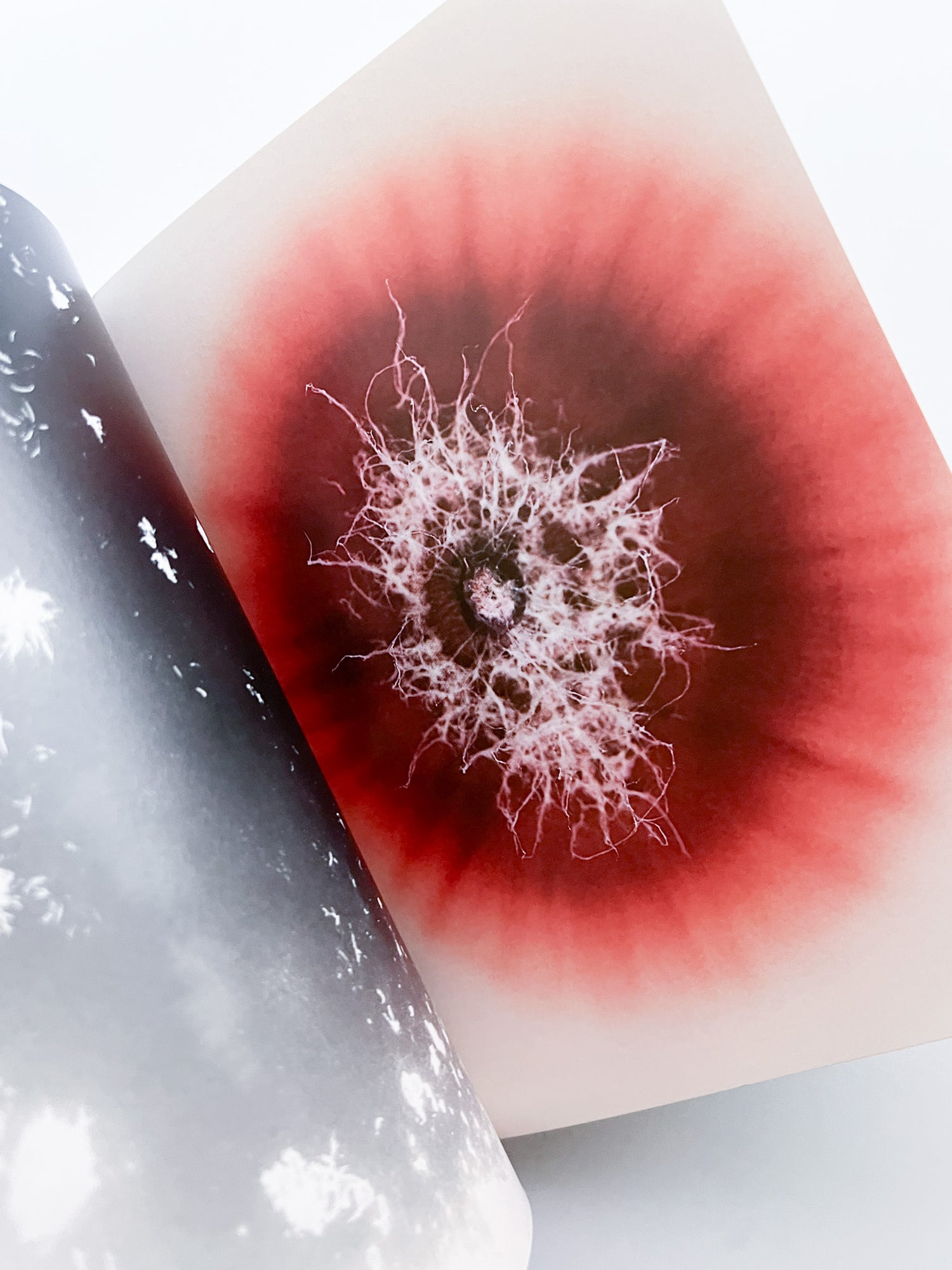 The Outer Inner World / Nicolai Howalt