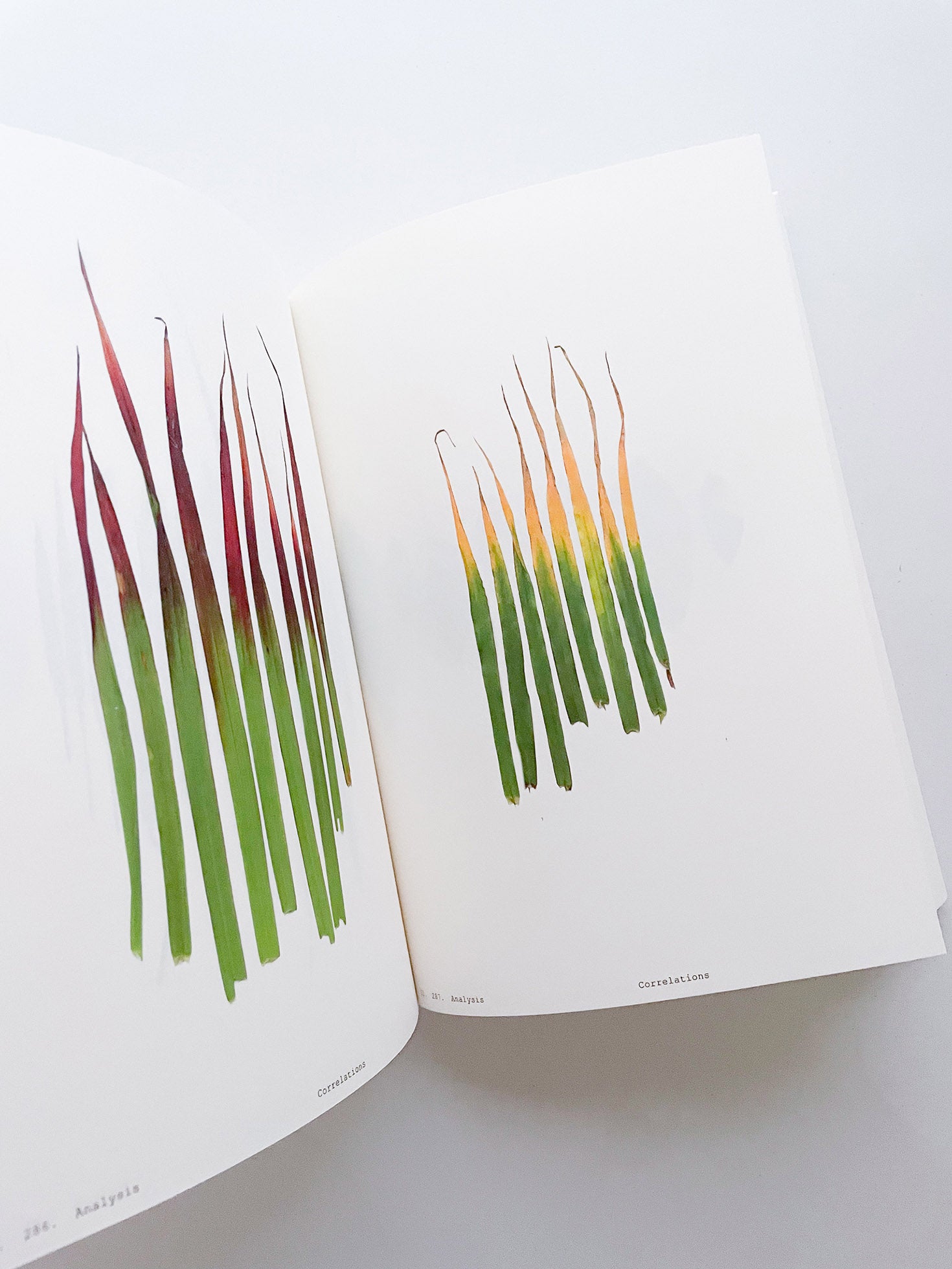 Book of Plants (Second Edition) / Anne Geene