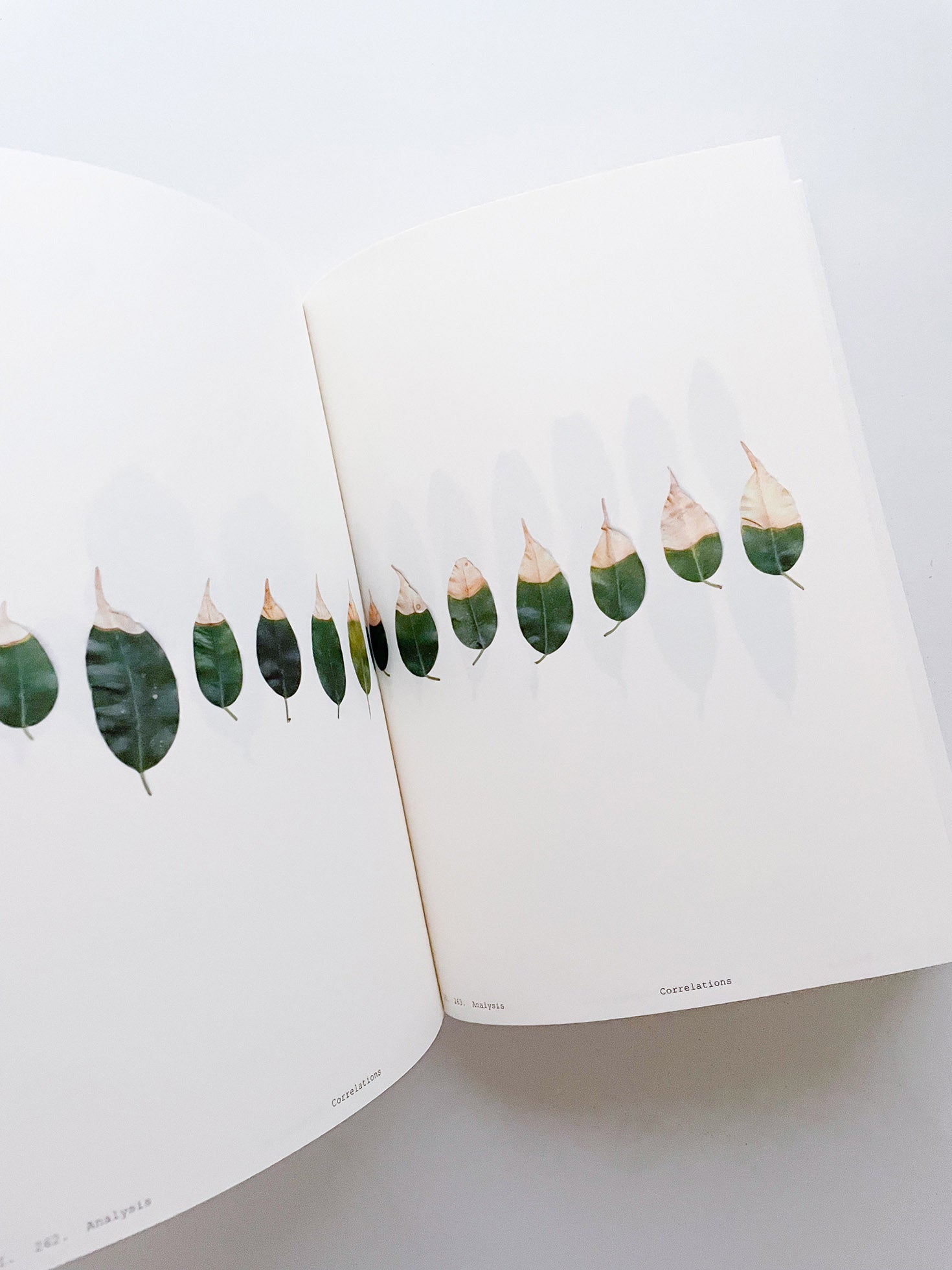Book of Plants (Second Edition) / Anne Geene