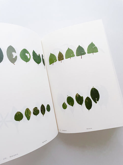 Book of Plants (Second Edition) / Anne Geene