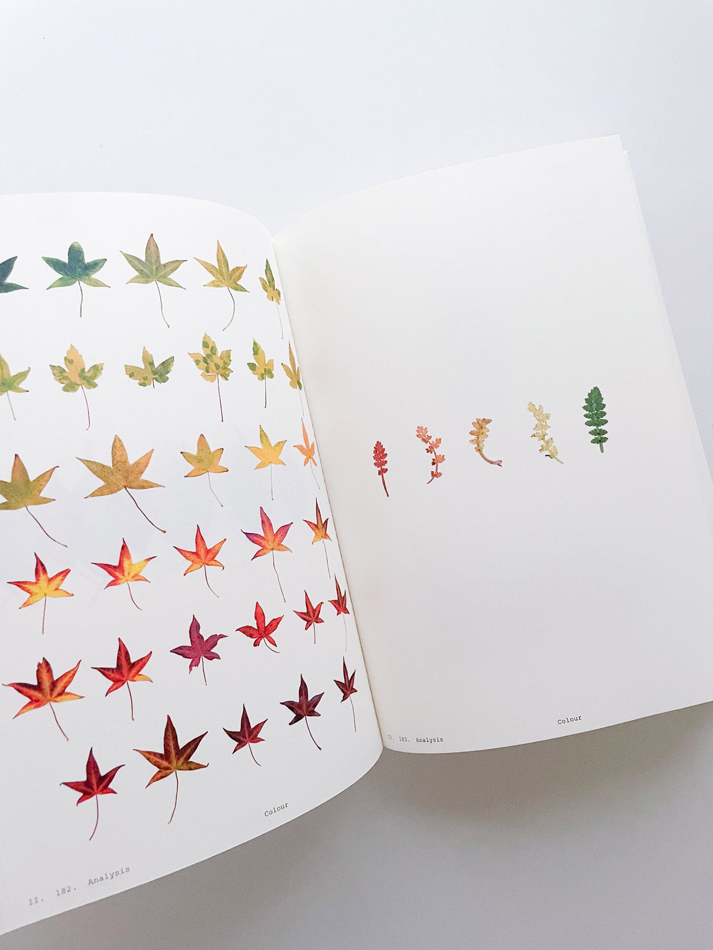 Book of Plants (Second Edition) / Anne Geene