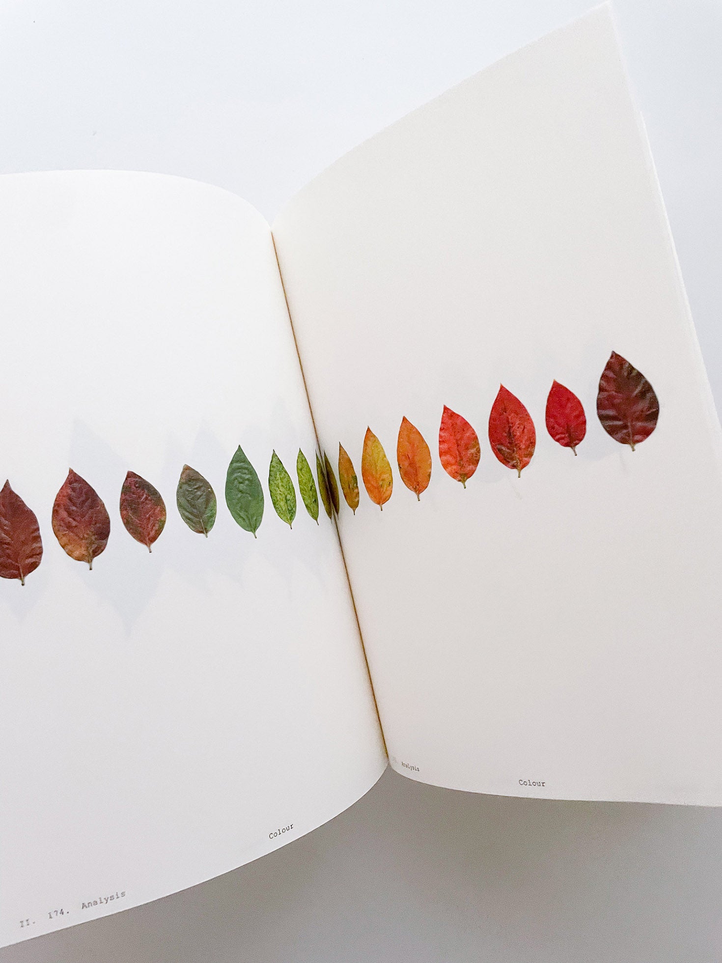 Book of Plants (Second Edition) / Anne Geene