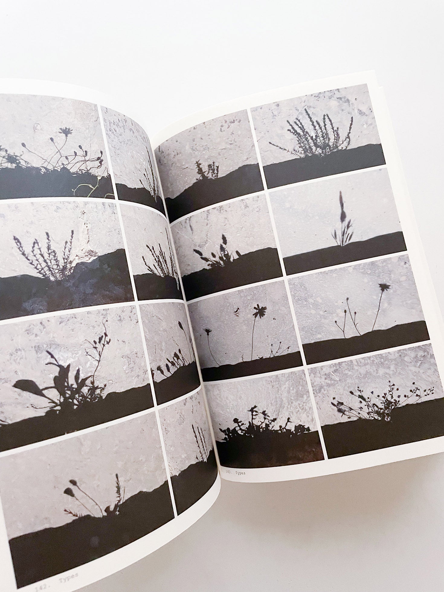 Book of Plants (Second Edition) / Anne Geene