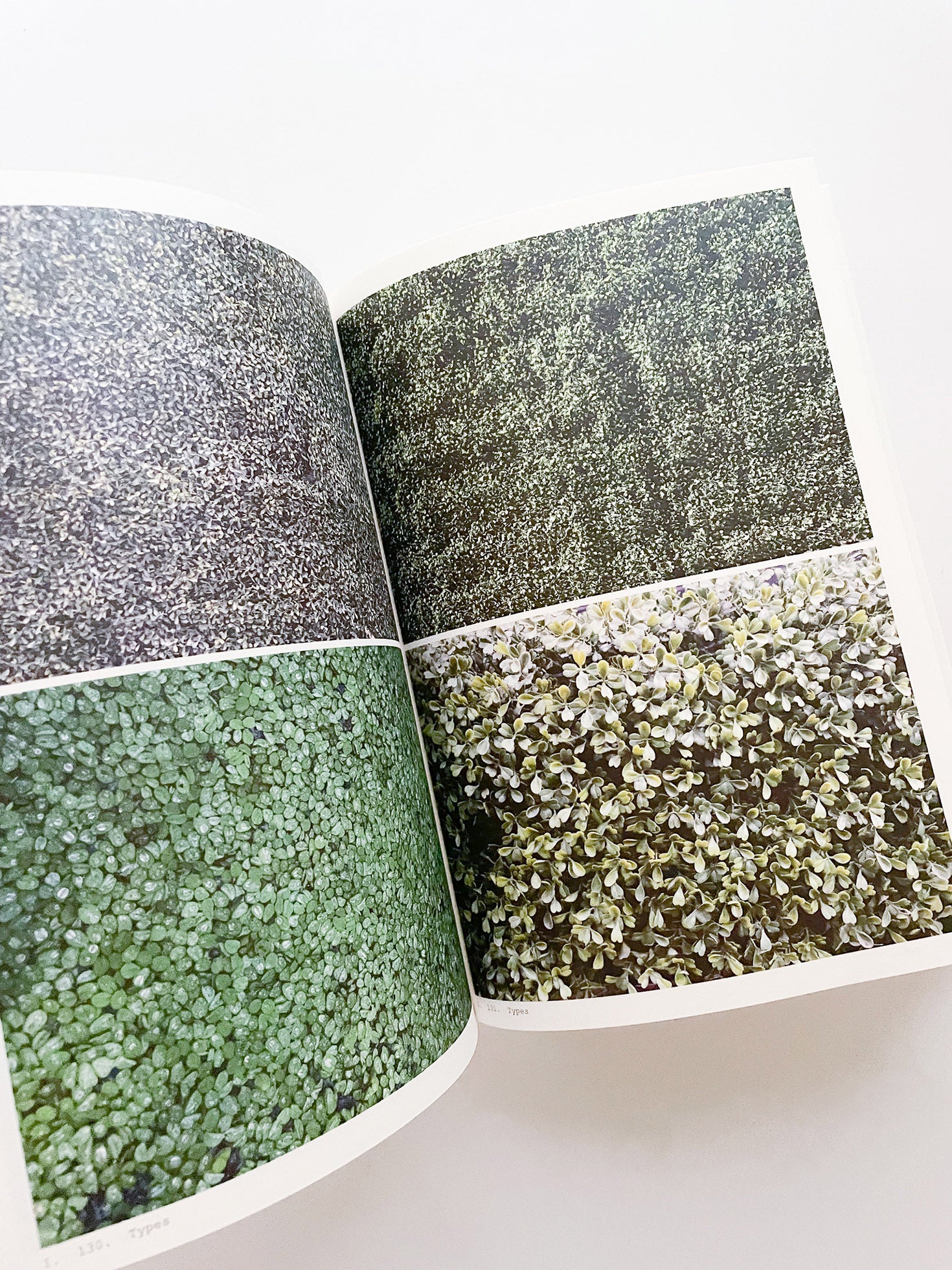 Book of Plants (Second Edition) / Anne Geene