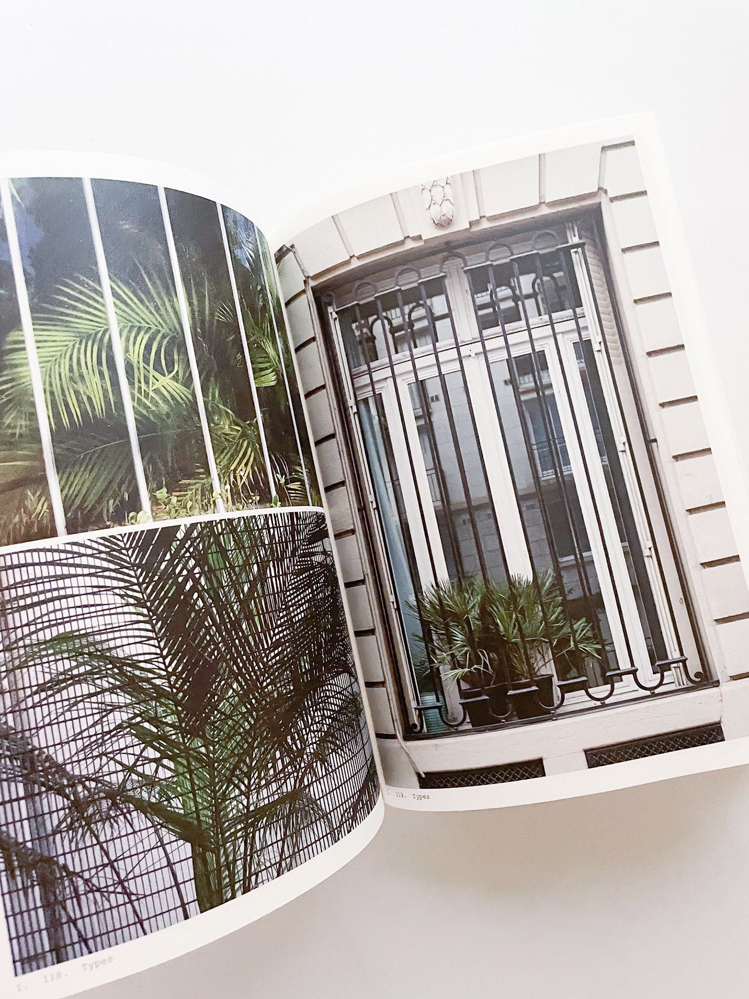 Book of Plants (Second Edition) / Anne Geene