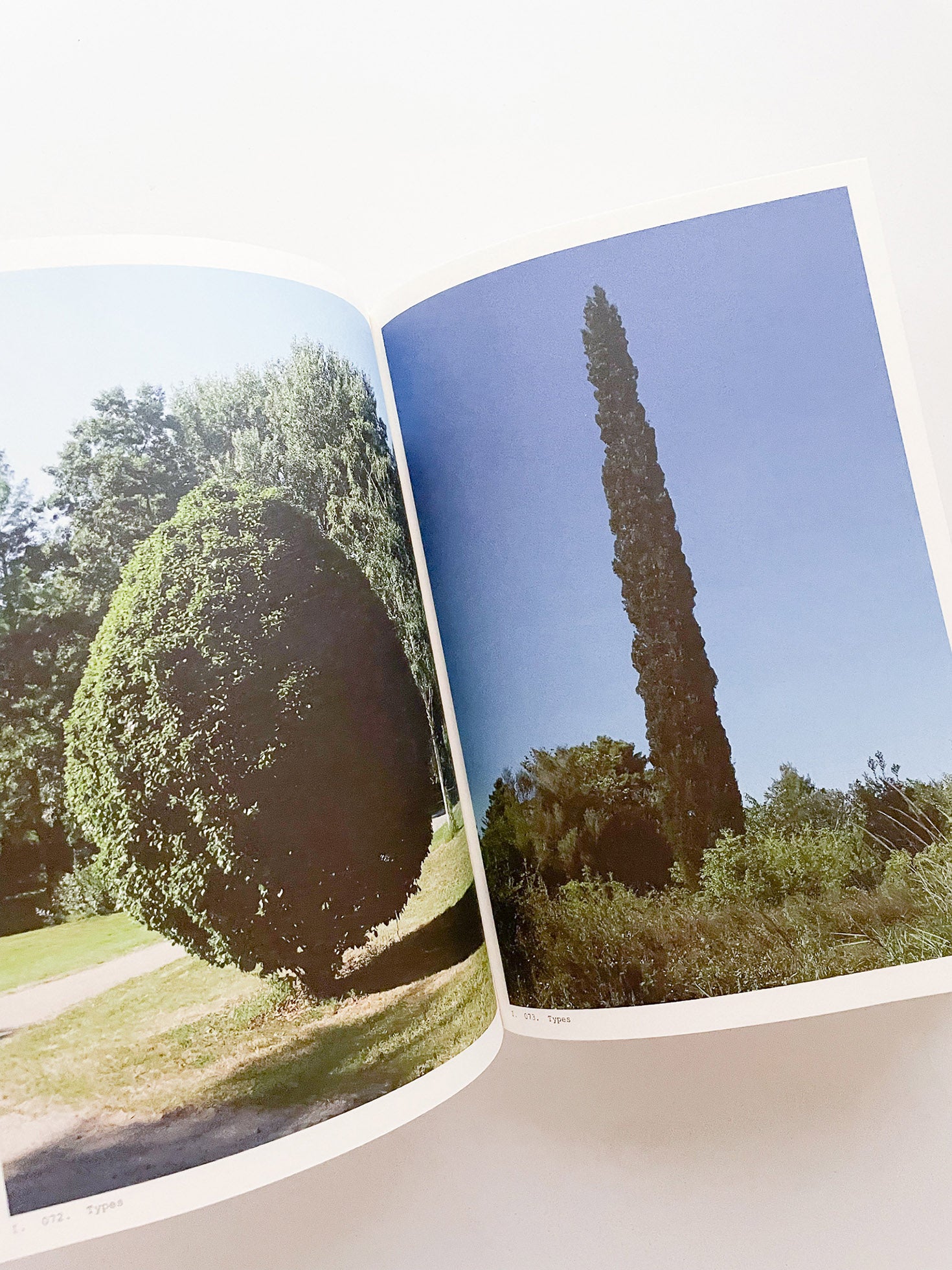 Book of Plants (Second Edition) / Anne Geene
