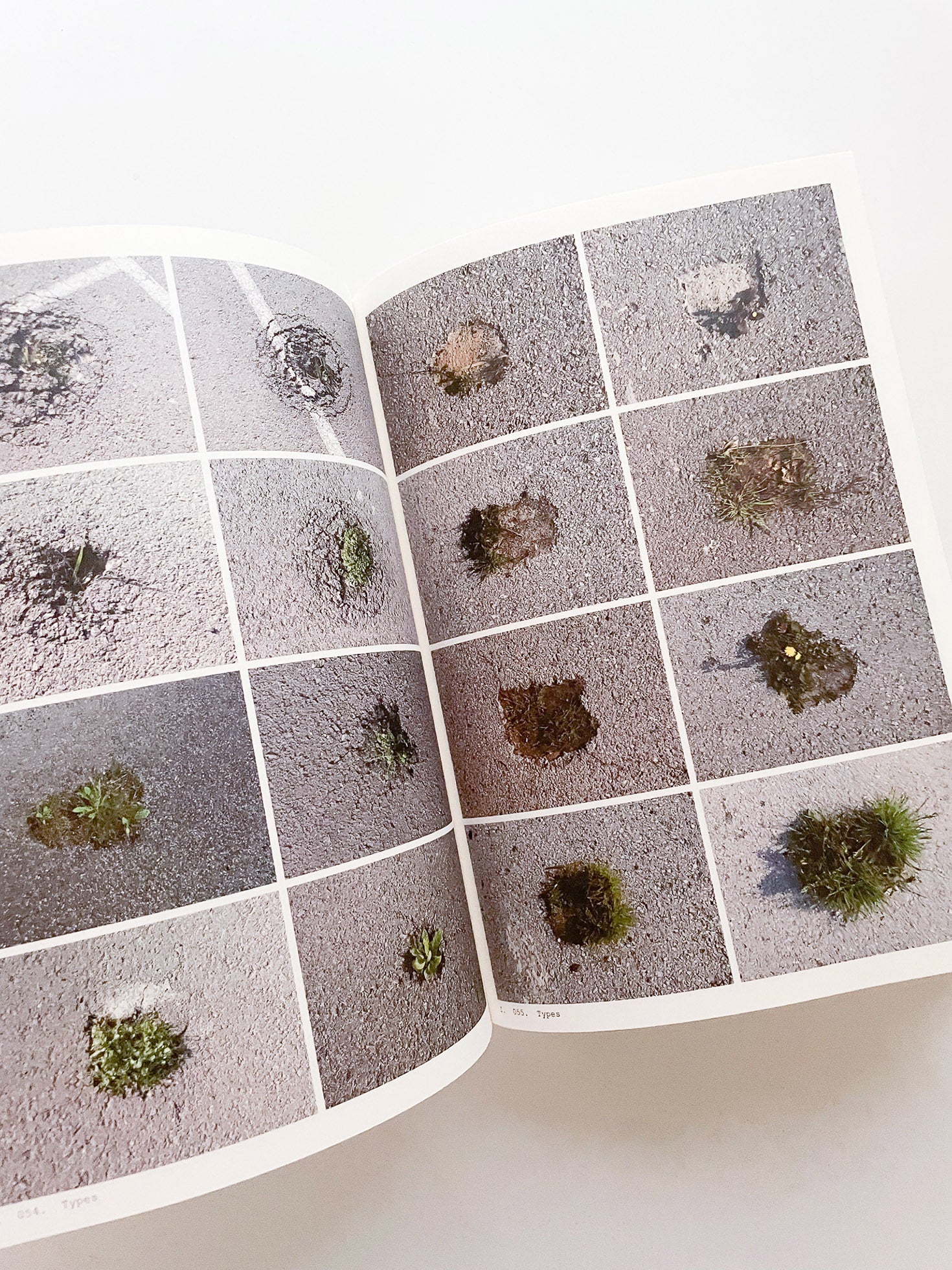 Book of Plants (Second Edition) / Anne Geene