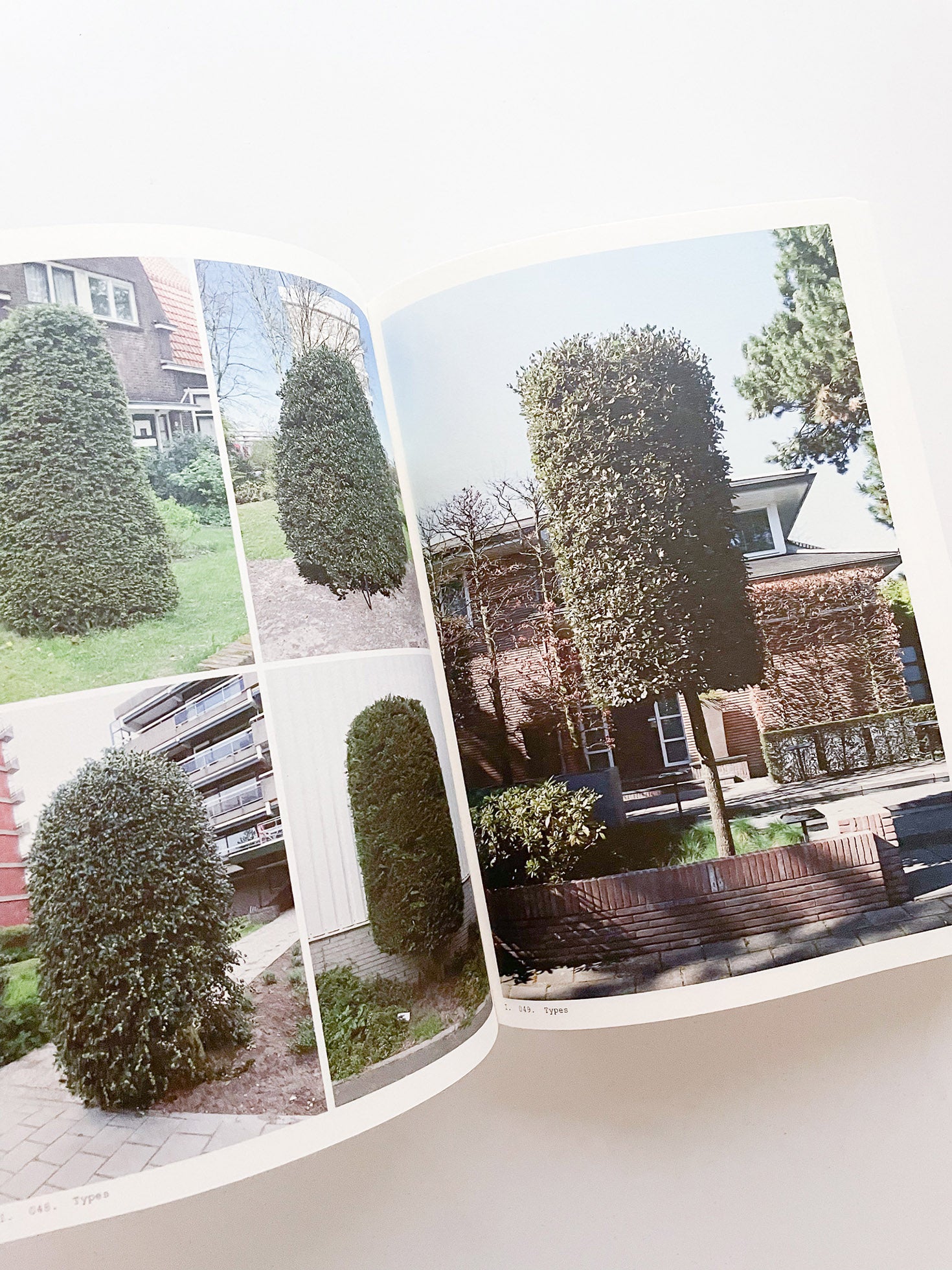 Book of Plants (Second Edition) / Anne Geene