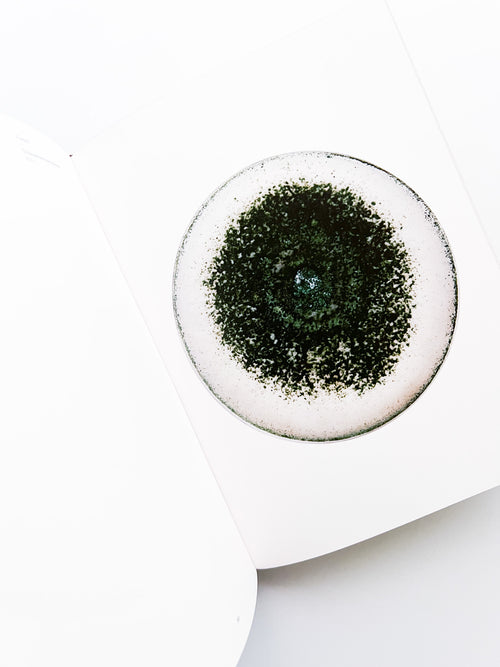 Fungi / Nicolai Howalt