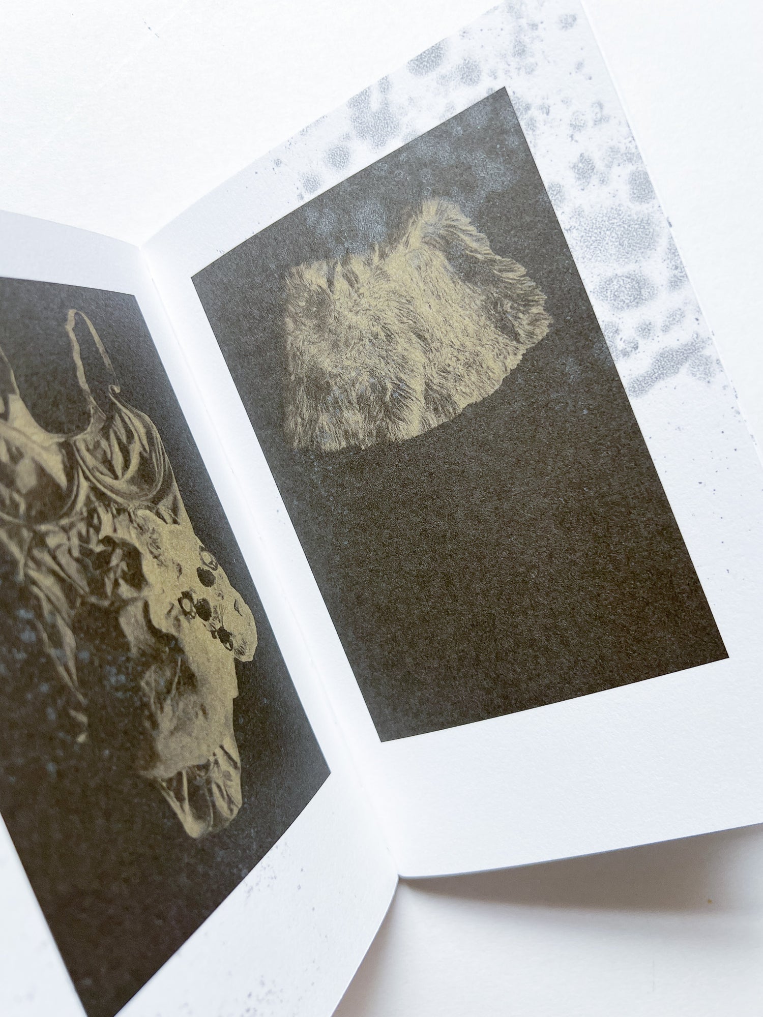 Neither Give nor Throw Away / Sophie Calle