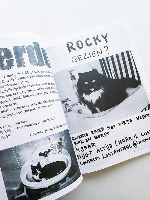 Gelieve in de kelder te kijken / Veuillez regarder dans la cave / Please Look in the Basement / Maarten Inghels