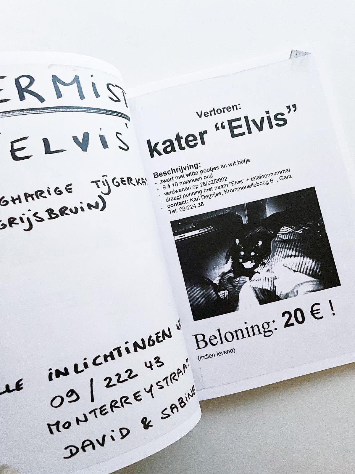 Gelieve in de kelder te kijken / Veuillez regarder dans la cave / Please Look in the Basement / Maarten Inghels