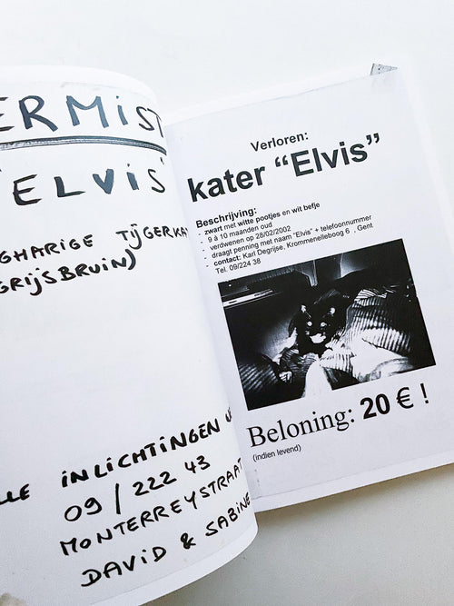Gelieve in de kelder te kijken / Veuillez regarder dans la cave / Please Look in the Basement / Maarten Inghels