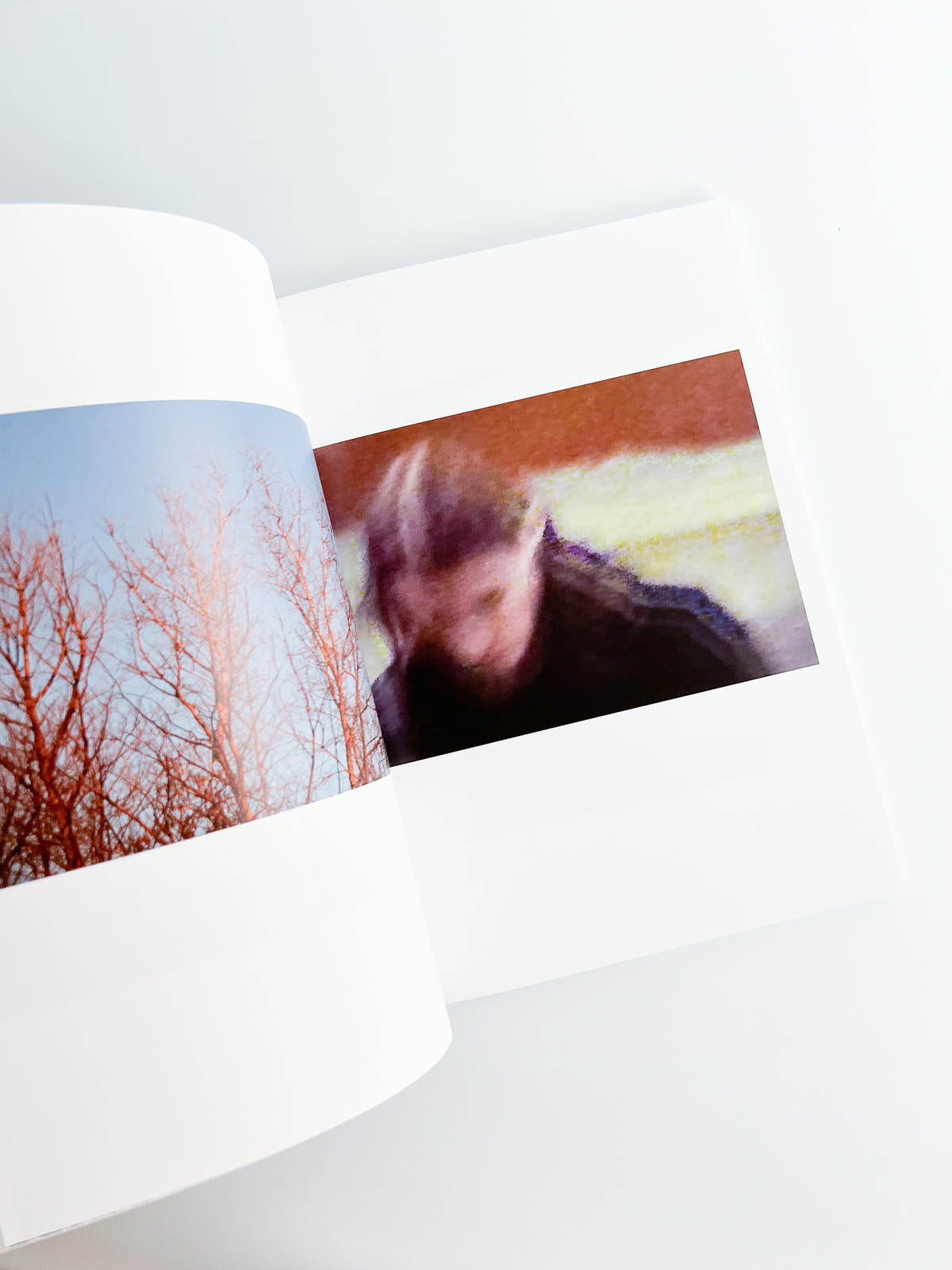 TRANSFIGURATION BOOK / Gosha Rubchinskiy