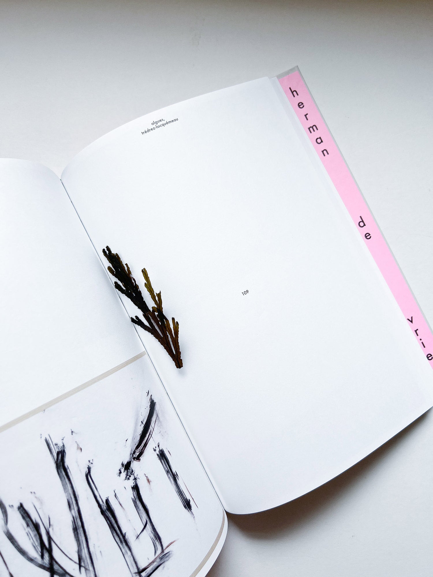 mouans-sartoux, paris, eschenau, digne-les-bains, trédrez-locquémeau / herman de vries