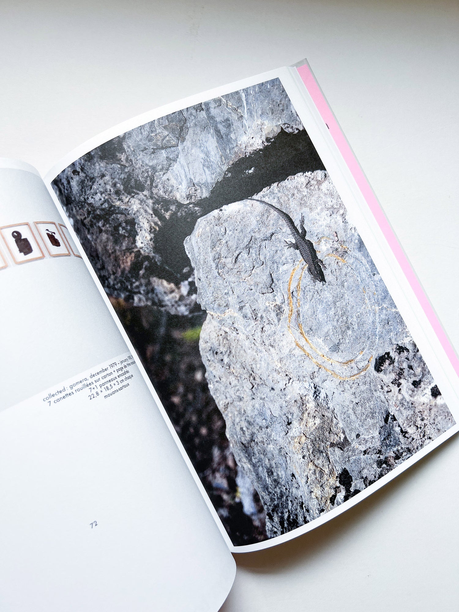 mouans-sartoux, paris, eschenau, digne-les-bains, trédrez-locquémeau / herman de vries