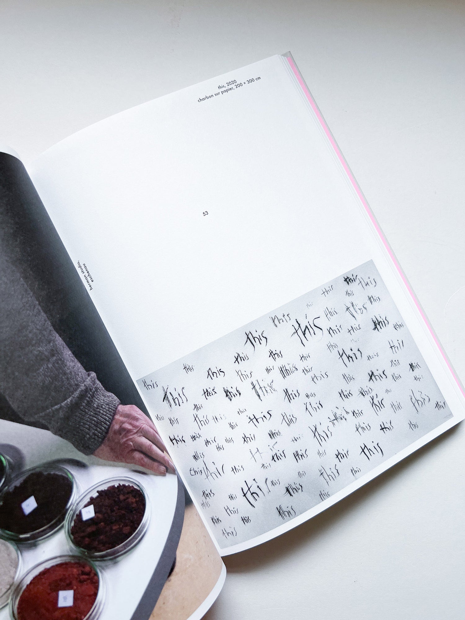 mouans-sartoux, paris, eschenau, digne-les-bains, trédrez-locquémeau / herman de vries