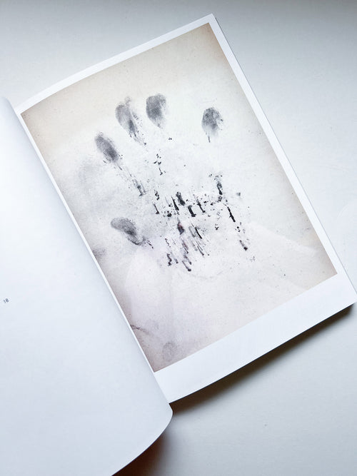 mouans-sartoux, paris, eschenau, digne-les-bains, trédrez-locquémeau / herman de vries