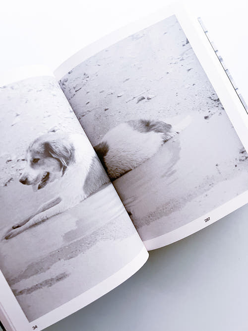 PASSING THROUGH MOVING IN AND GETTING AWAY WITH IT: GORDON MATTA-CLARK NEW YORK CITY GRAFFITI PHOTOGRAPHS, 1972–73 / Gordon Matta-Clark [SECOND PRINTING]