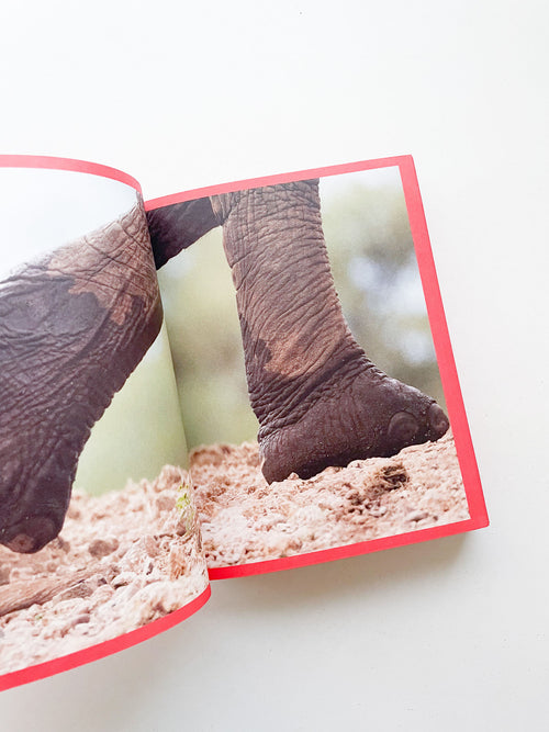 CAMPER 50 (1975-2025) WALK, DON'T RUN