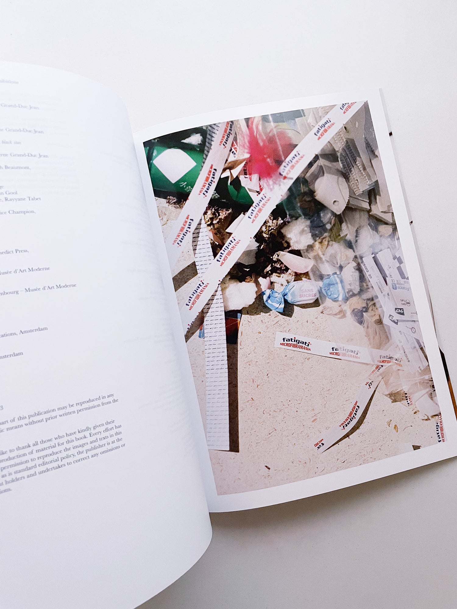 A Model / Bettina Steinbrügge, Jason Dodge