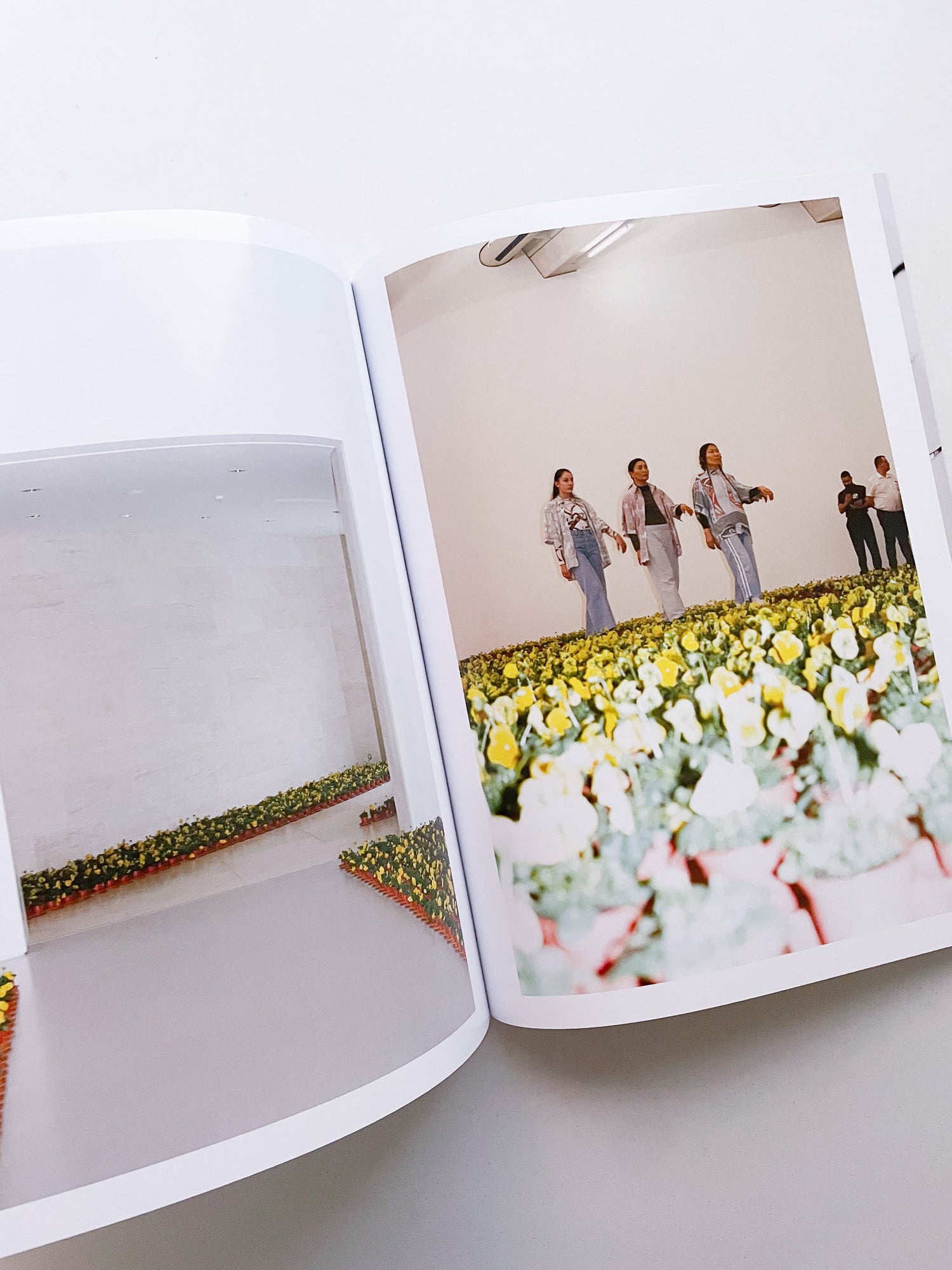 A Model / Bettina Steinbrügge, Jason Dodge