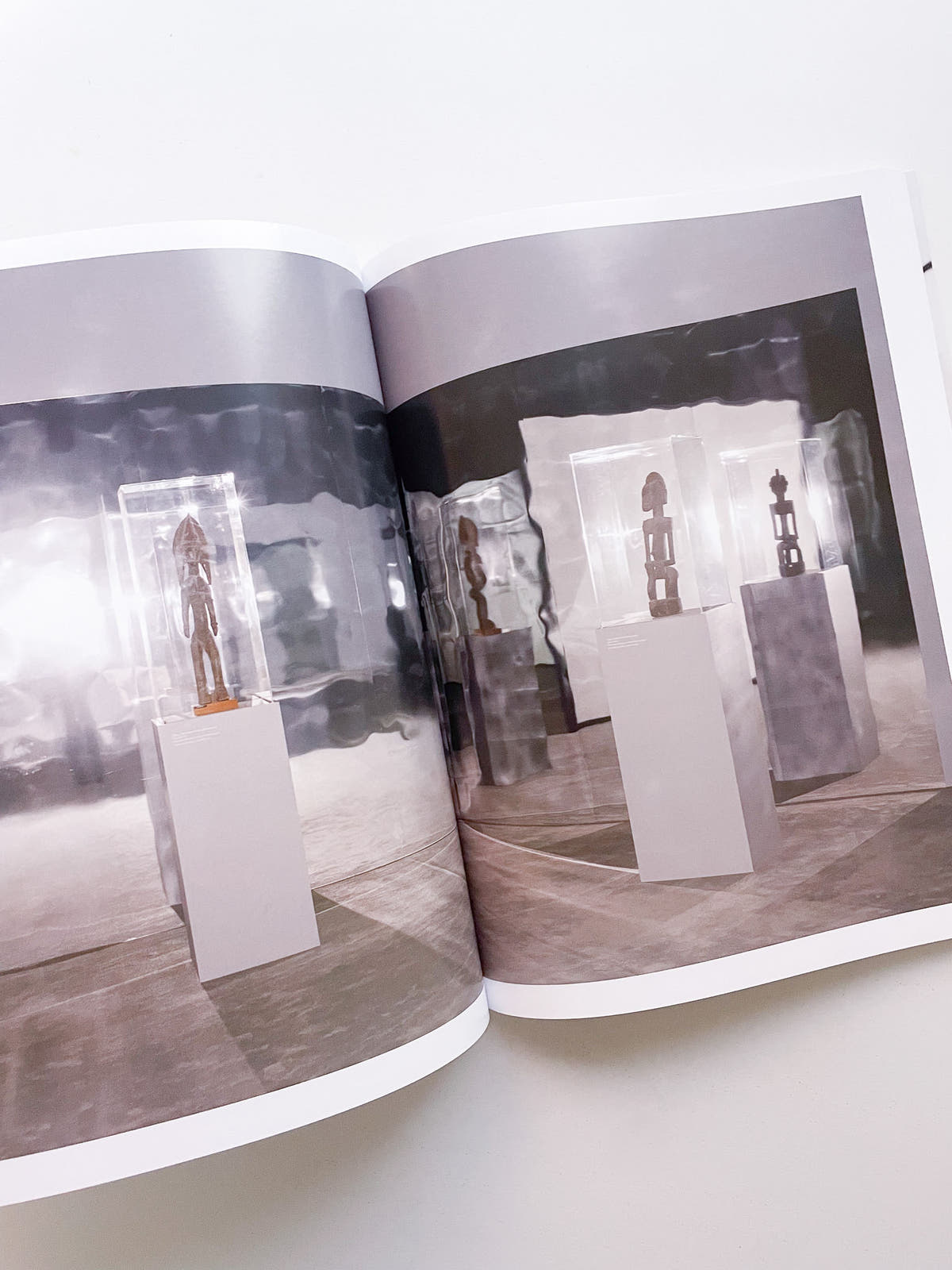 A Model / Bettina Steinbrügge, Jason Dodge