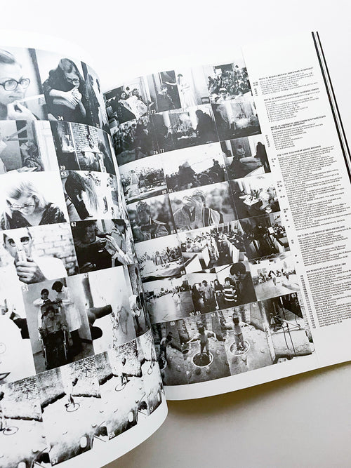 THE FLUXUS NEWSPAPER