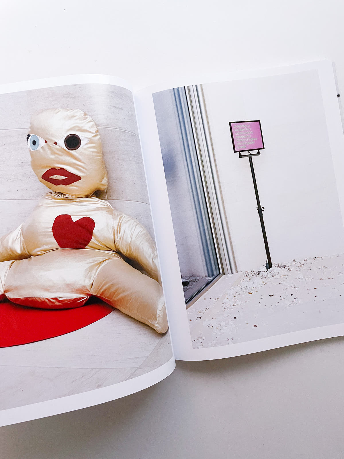 A Model / Bettina Steinbrügge, Jason Dodge
