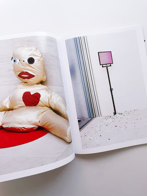 A Model / Bettina Steinbrügge, Jason Dodge