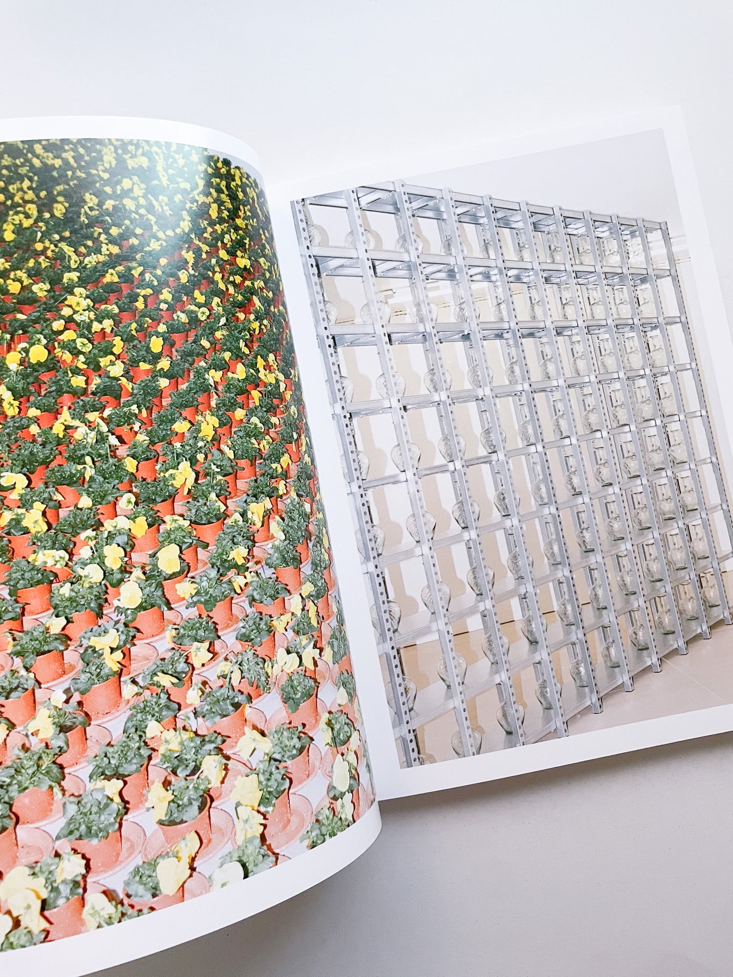 A Model / Bettina Steinbrügge, Jason Dodge