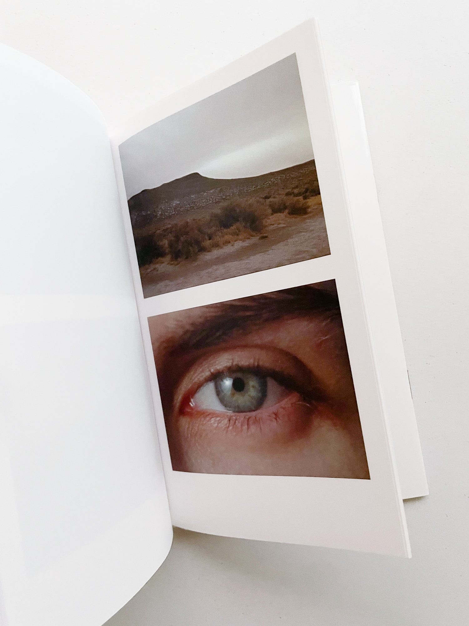 COLLECTIVE STUDY, ENQUIRY #5 / Goldwin 0