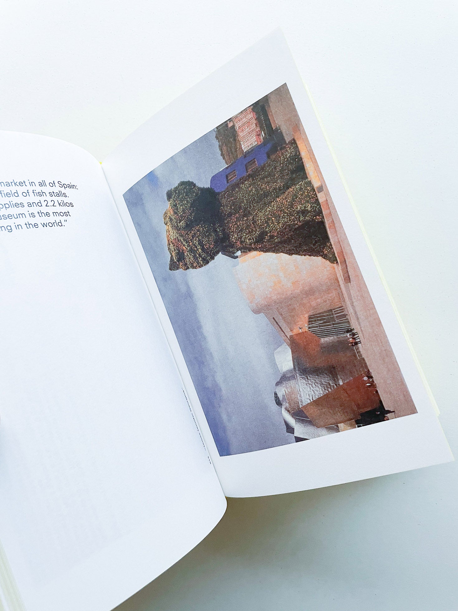 James Jennifer Georgina (The Yellow Book) / Irma Boom