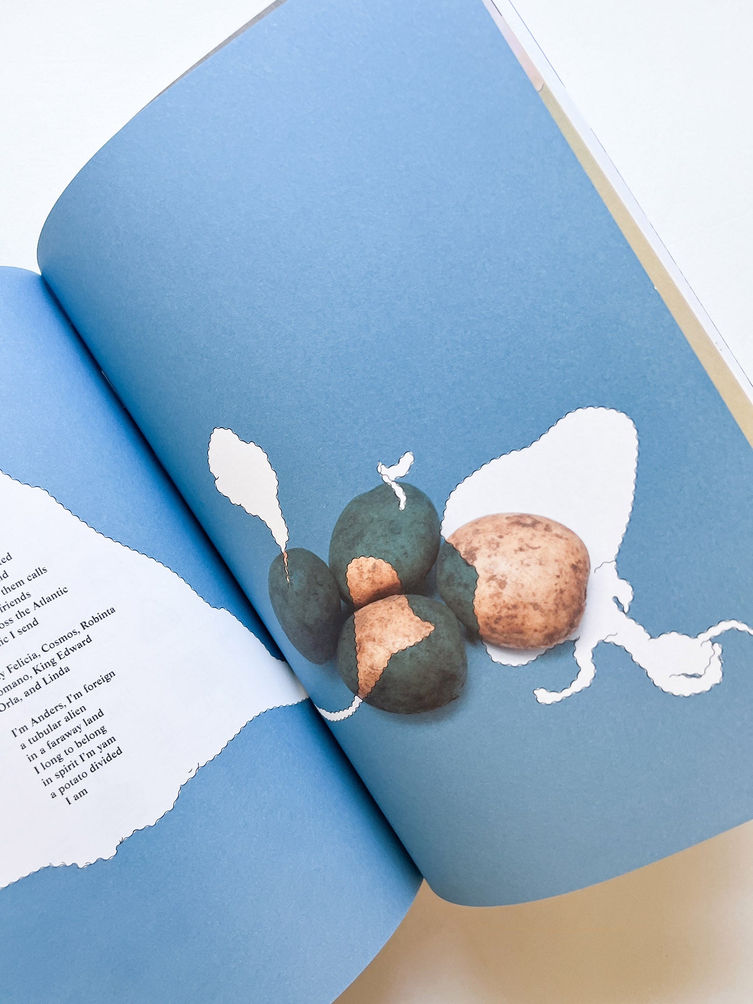 EUSOCIALITY IN THE EU / Otto Canell Watkins, Robin Watkins