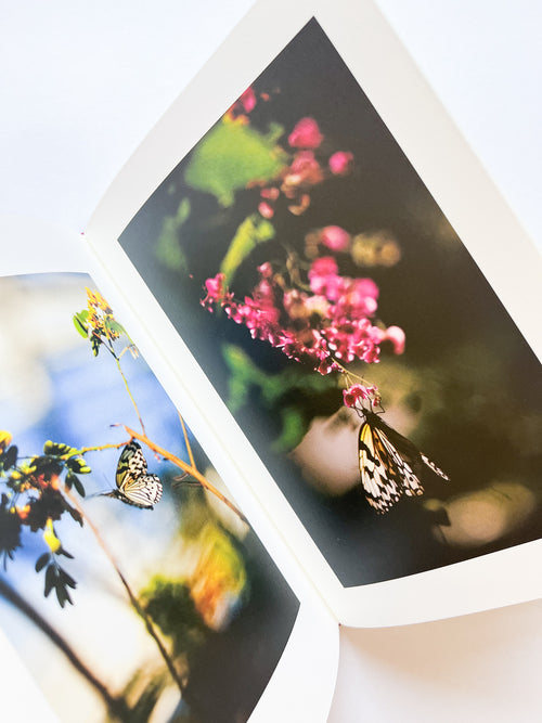 KANON / Shimpei Yamagami [SIGNED]