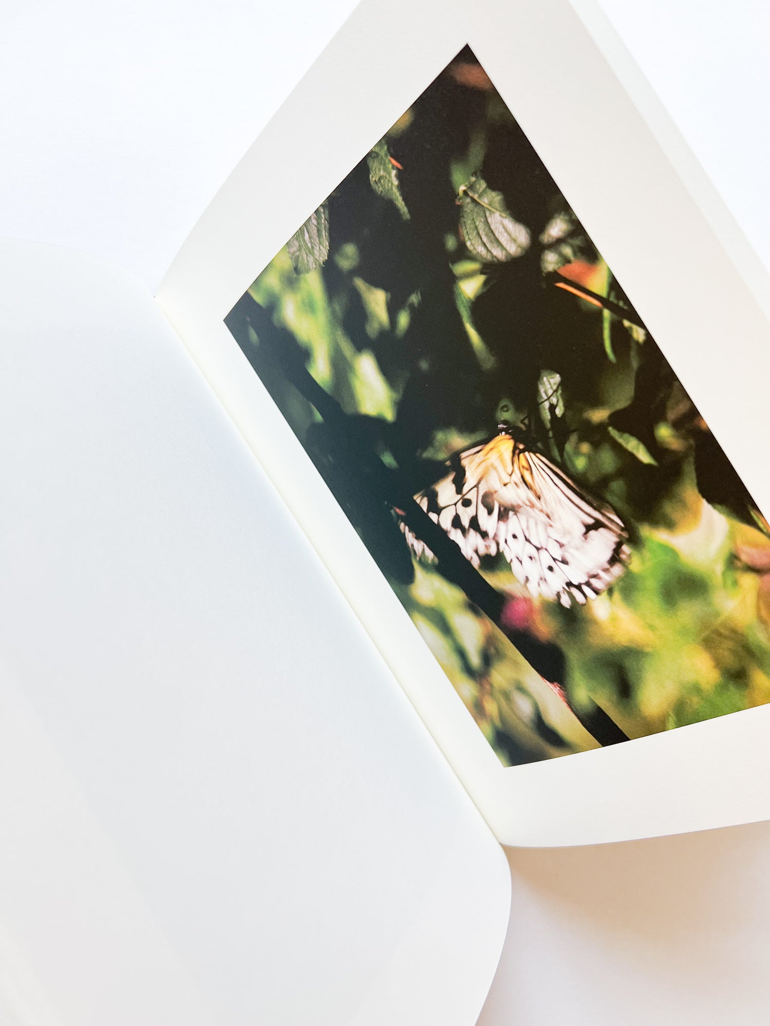 KANON / Shimpei Yamagami [SIGNED]