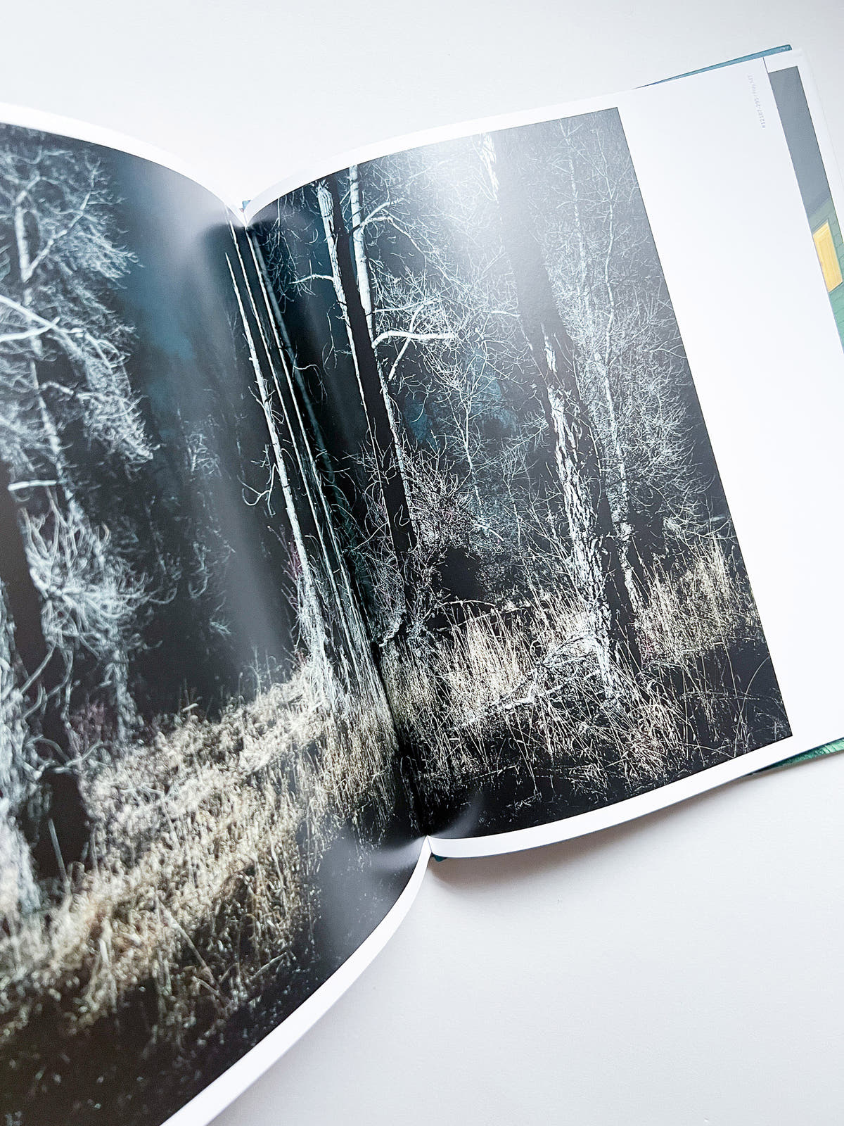 INTIMATE DISTANCE: OVER THIRTY YEARS OF PHOTOGRAPHS, A CHRONOLOGICAL ALBUM / Todd Hido [REVISED AND EXPANDED EDITION]