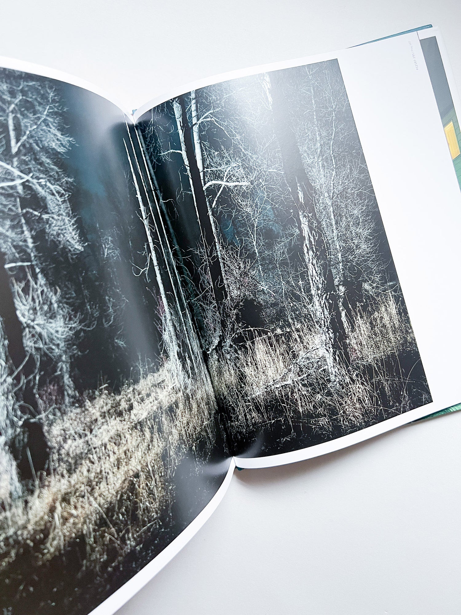 INTIMATE DISTANCE: OVER THIRTY YEARS OF PHOTOGRAPHS, A CHRONOLOGICAL ALBUM / Todd Hido [REVISED AND EXPANDED EDITION]