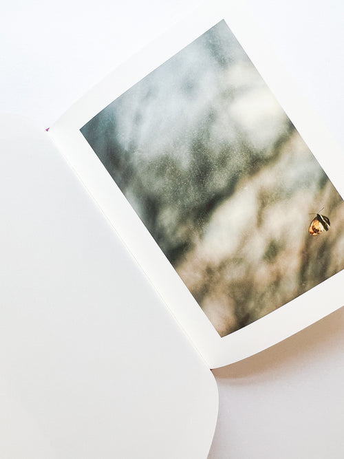 KANON / Shimpei Yamagami [SIGNED]