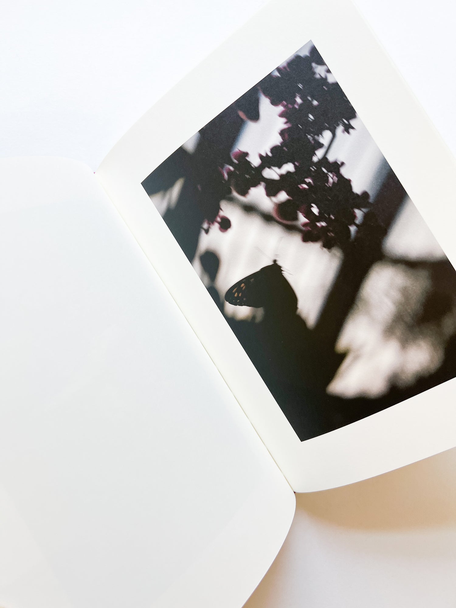 KANON / Shimpei Yamagami [SIGNED]