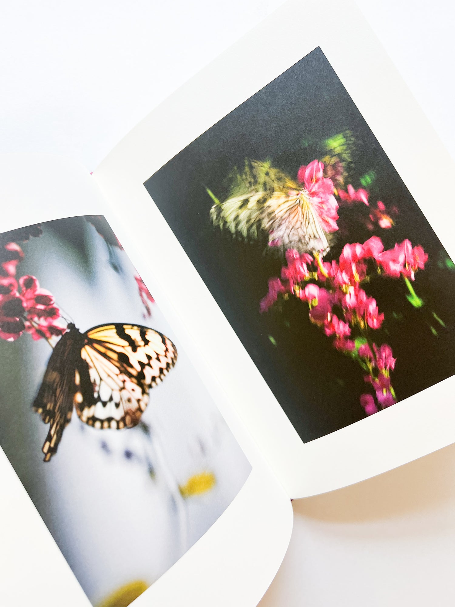 KANON / Shimpei Yamagami [SIGNED]