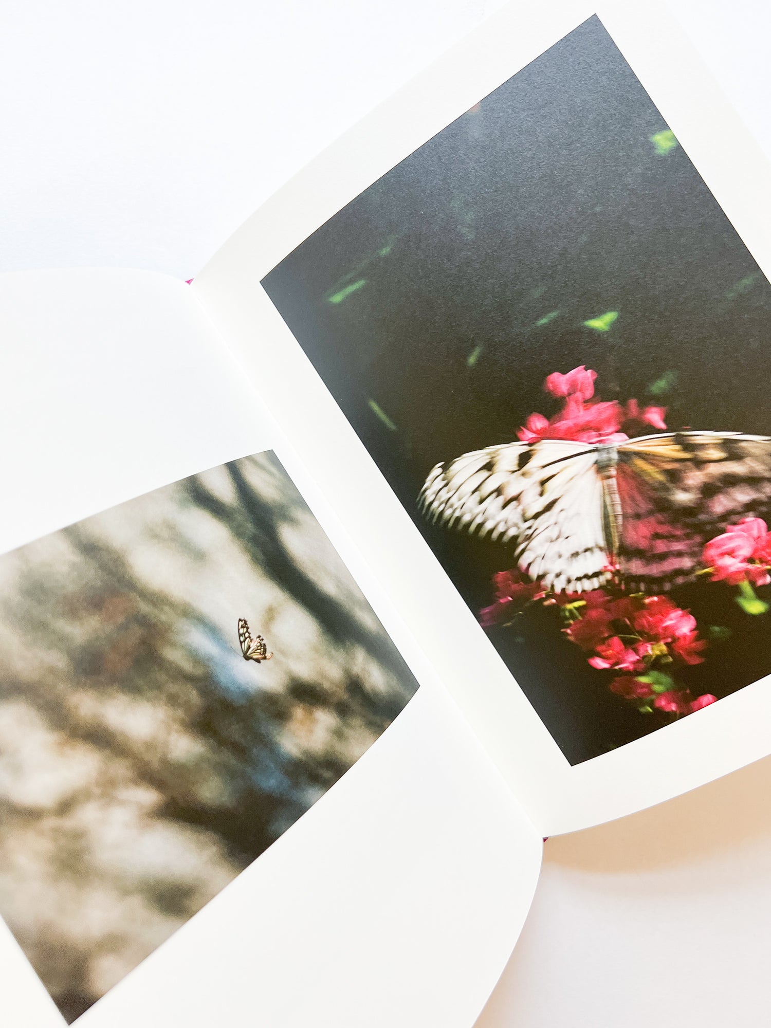 KANON / Shimpei Yamagami [SIGNED]