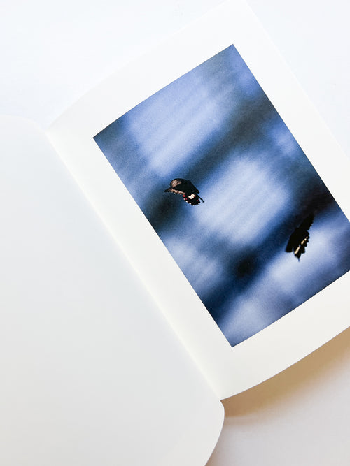 KANON / Shimpei Yamagami [SIGNED]